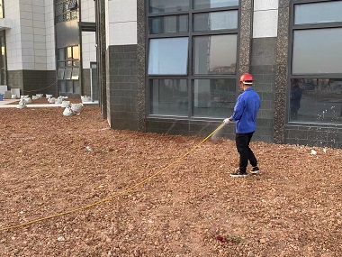 萝岗白蚁预防——新建地基如何给白蚁“上保险”