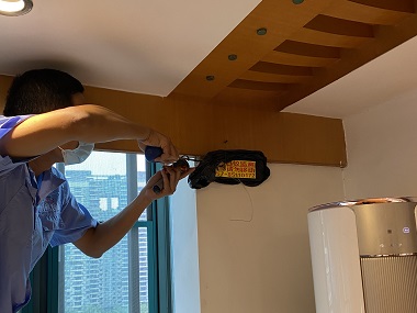 增城白蚁灭治机构居家白蚁预防全攻略！